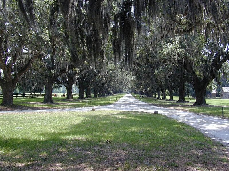 Mt Pleasant, South Carolina