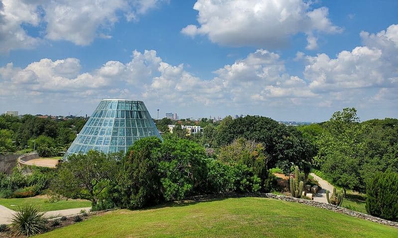 View from the highest point in the San Antonio Botanical Garden